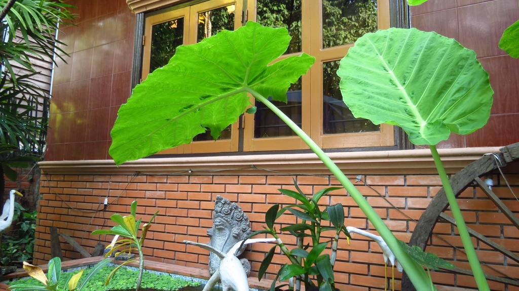 Big Lyna Villa Siem Reap Dış mekan fotoğraf
